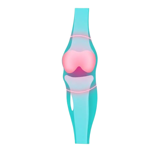 Knee Replacement icon