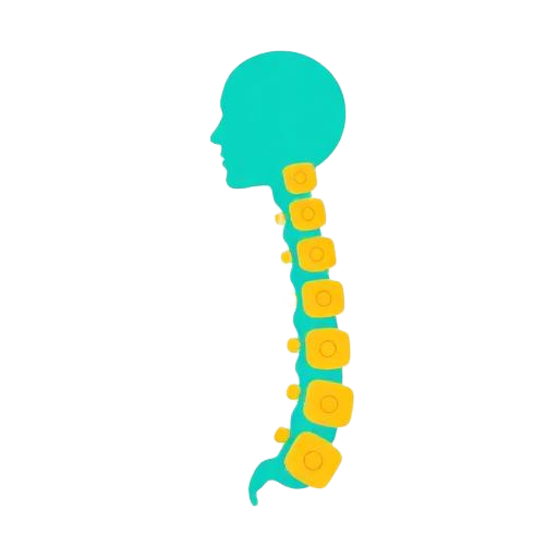 Spine & Back Care icon